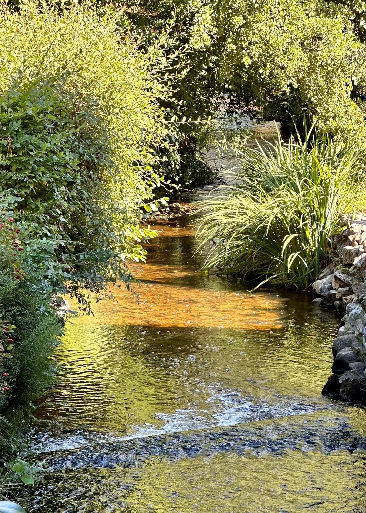 Gite Du Moulin Toucan Berneuil  外观 照片